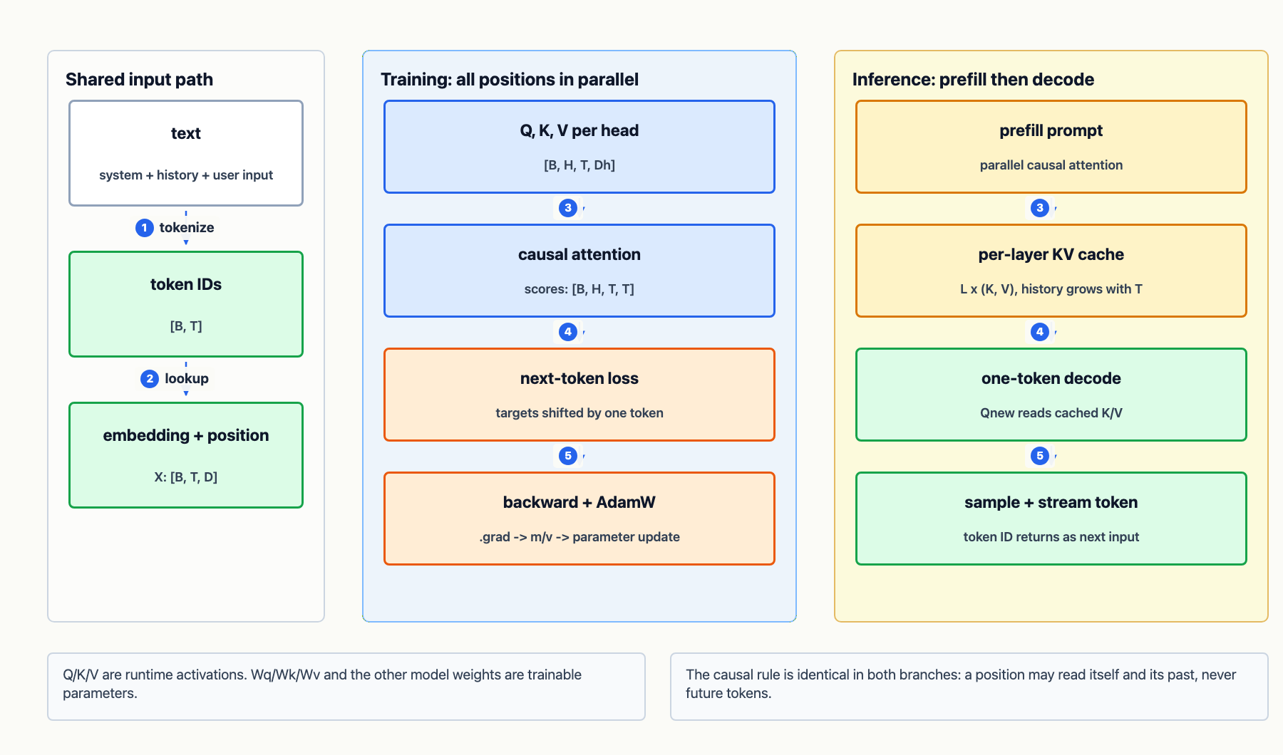 文本经过 token 和 embedding 后，在训练阶段进入并行 causal attention 与反向传播，在推理阶段进入 prefill、逐层 KV cache 和单 token decode